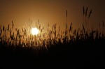 ubuntu 11.04 wallpapers (1)