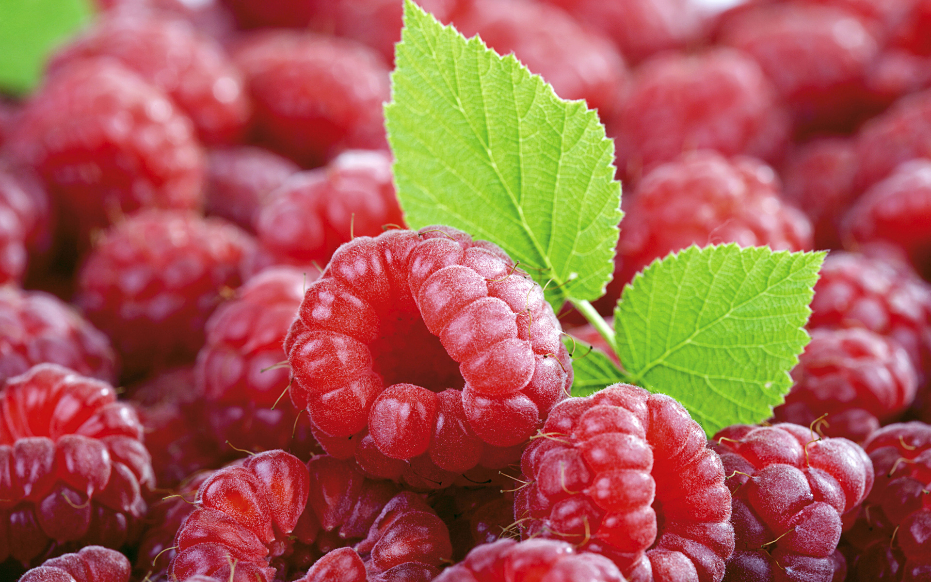 Fresh Fruit Desktop Backgrounds 1920x1200 HD Wallpapers