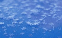 Close-up of snowflakes