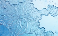 Close-up of snowflakes