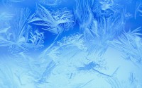 Snow crystals