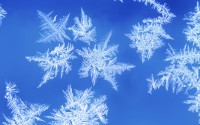 Snowflakes on glass, close-up, blue background