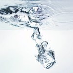 windows 8 wallpapers