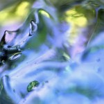 windows 8 wallpapers