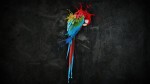 parrot