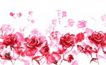 Valenitne's Day romantic wallpapers
