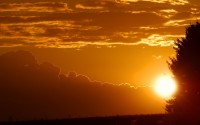 sunset
