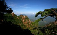 windows 8 wallpapers 2560x1600-276