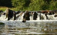 waterfalls in river