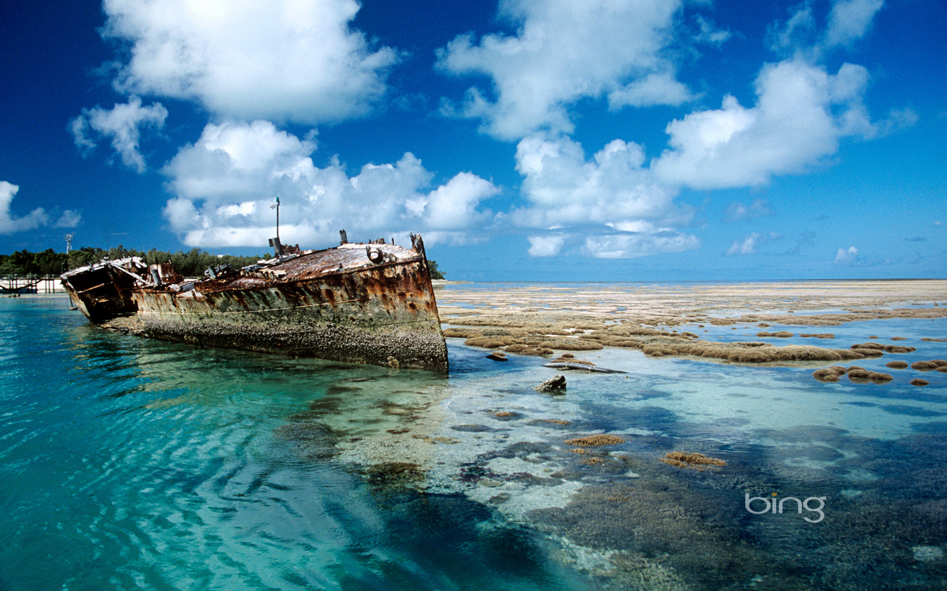 Shipwreck on Heron Island, Australia  HD Wallpapers