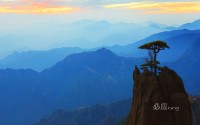 bing wallpapers 1920x1200