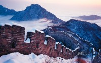 the chinese wall wallpaper