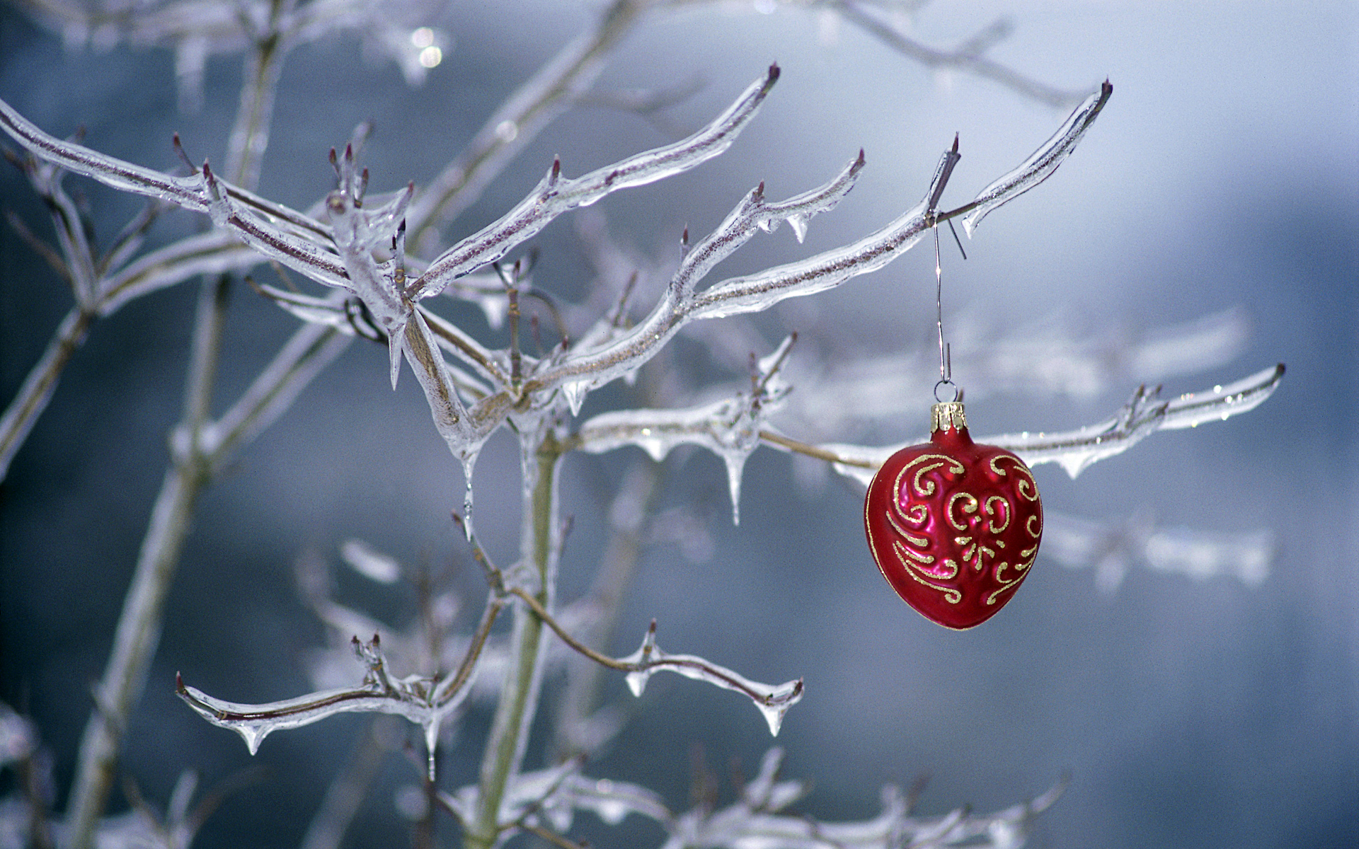 Ornament hanging on a frozen tree