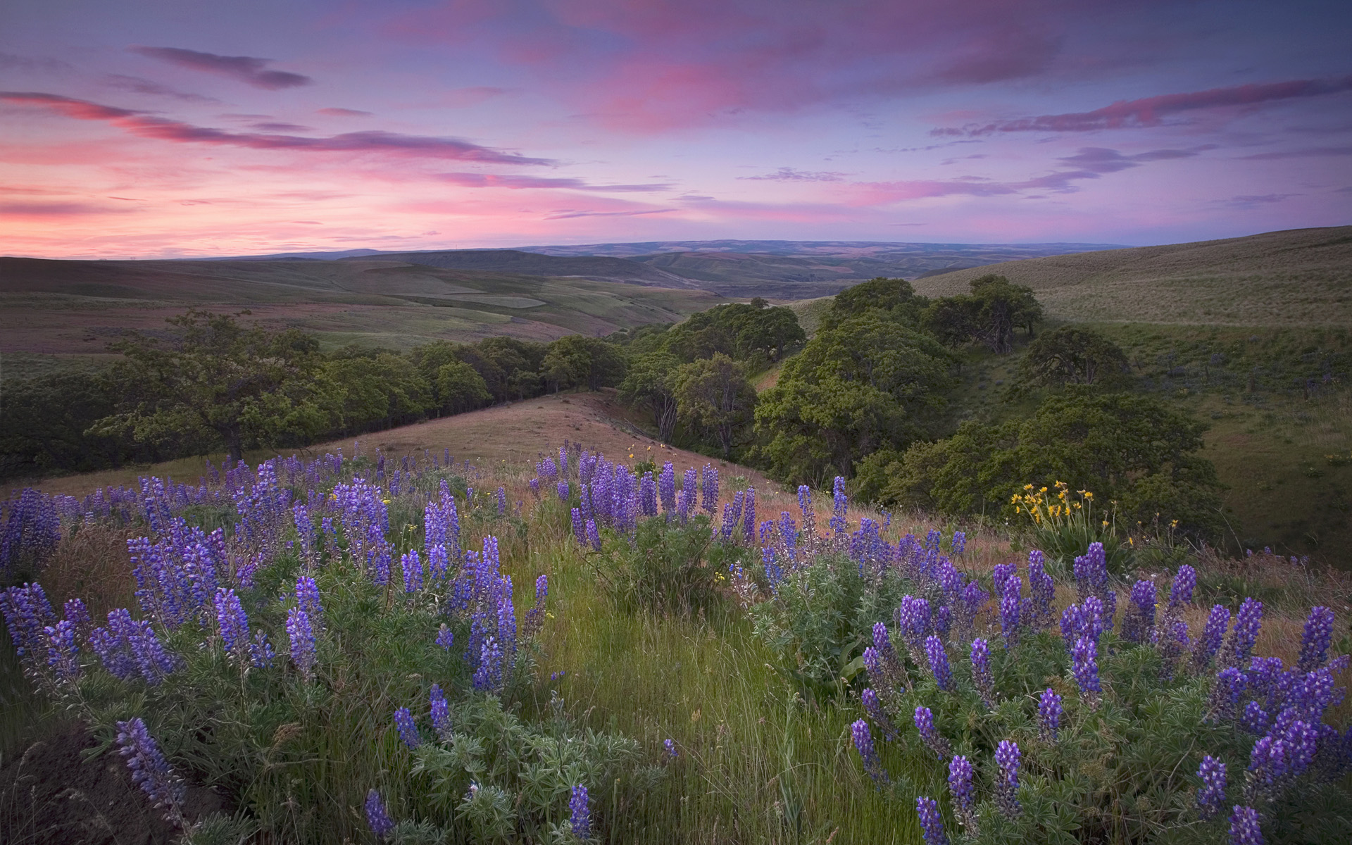 purple-landscape-wallpapers-18.jpg