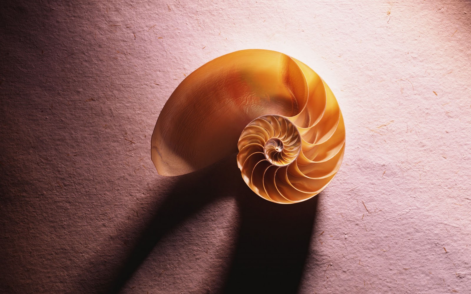 Picasa For Mac Download Picasa For Mac Download