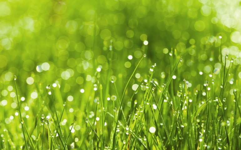 500 Windows 8 Wallpapers size: 2560x1600 -part 4 | HD Wallpapers