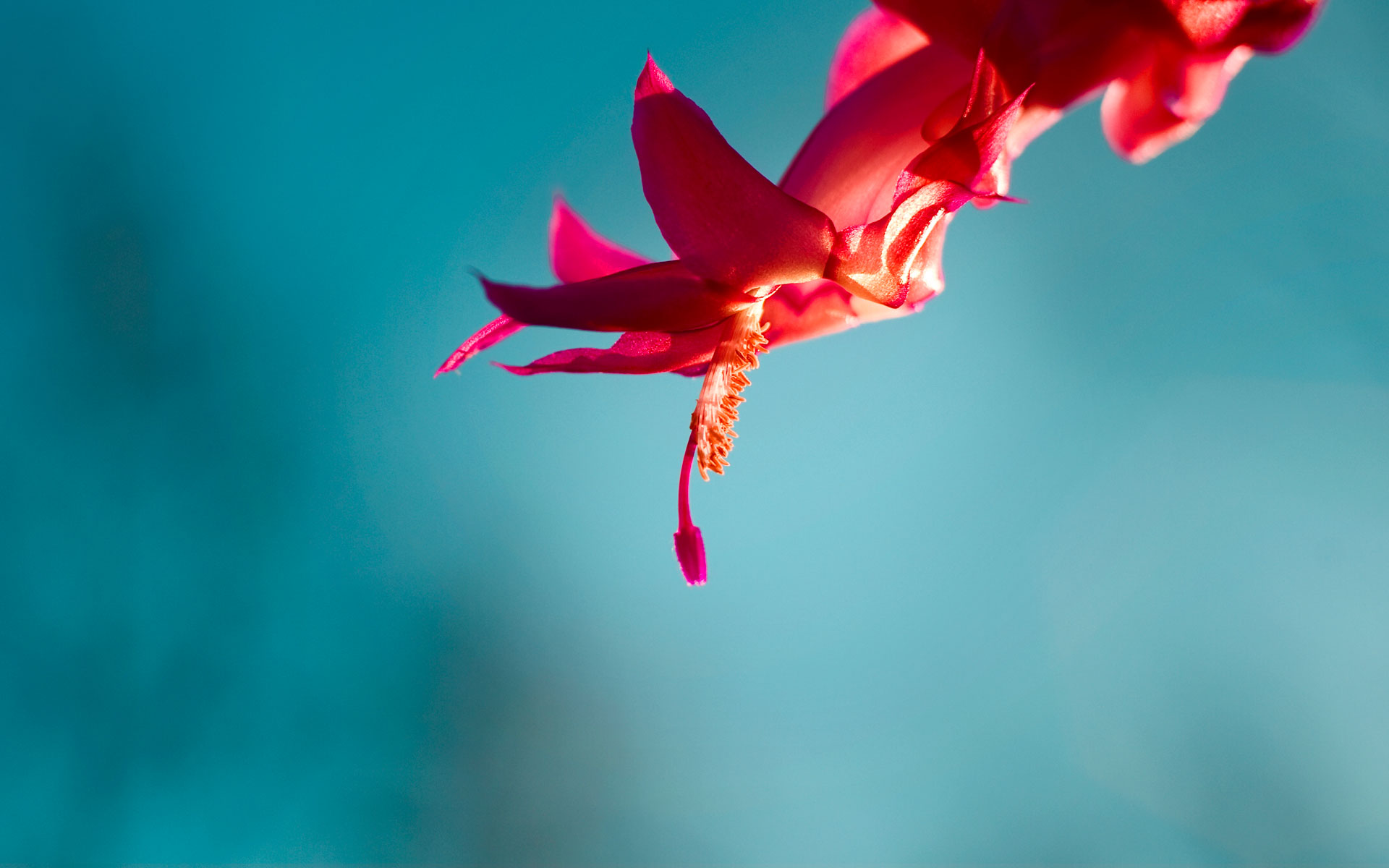Windows 8 RTM wallpapers and lock screens (build 9200 Windows 8 RTM wallpapers and lock screens (build 9200