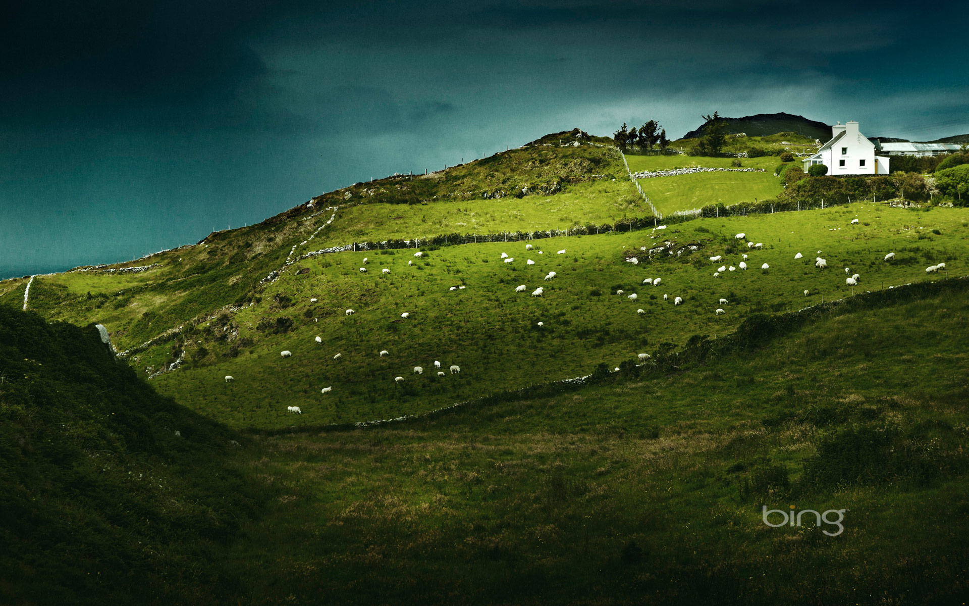 Sheep's Head, Ireland HD Wallpapers