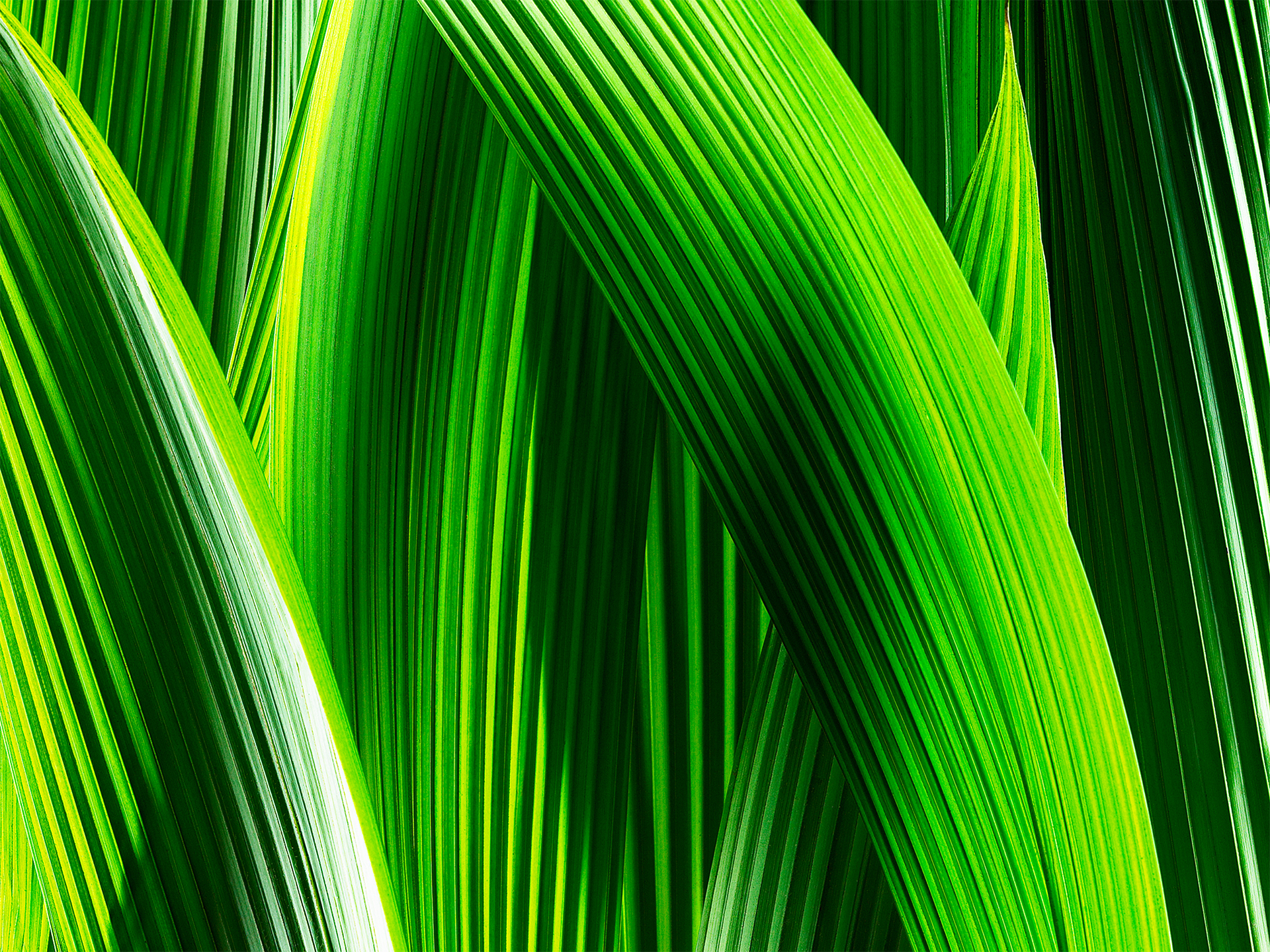 iOS7 wallpapers for windows (19) | HD Wallpapers