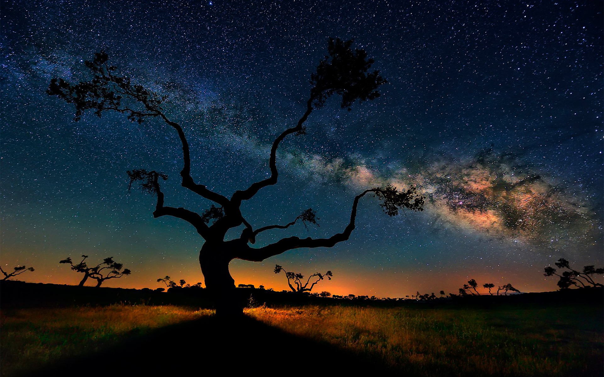 10 mesmerizing HD images of the Milky Way | HD Wallpapers